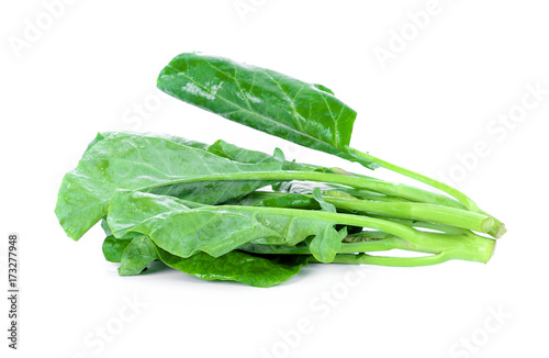 Chinese kale vegetable isolated on white background,water drop