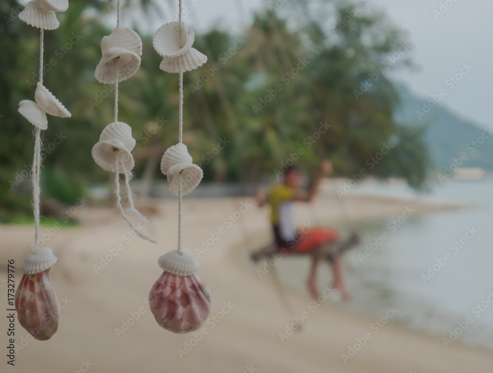 Beautiful seashells in the sea background with a swing