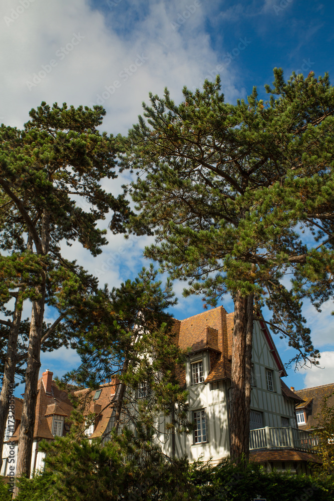 Maison traditionelle de Deauville entourée de grands pins - vue depuis la rue