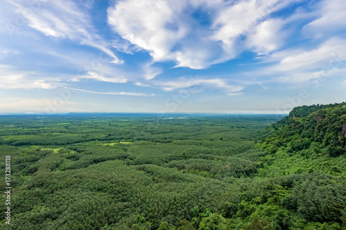 Green forest from the top of mountain, nature landscape with cloudy day.