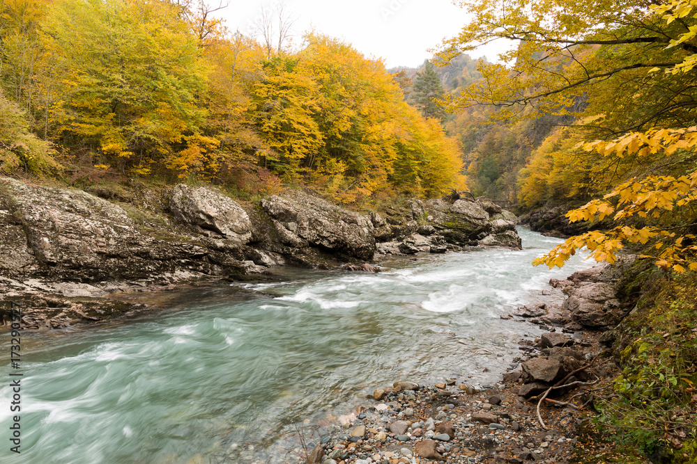 lanscape, countryside, fishing concept. two banks of the river, two similar sides covered with yellow trees that are preparing for autumn, between the rocky lands there is light green river lanscape, countryside, fishing concept. two banks of the river, two similar sides covered with yellow trees that are preparing for autumn, between the rocky lands there is light green river