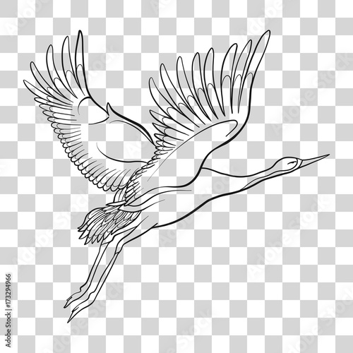 Japanese crane isolated drawing. Stock vector illustration.