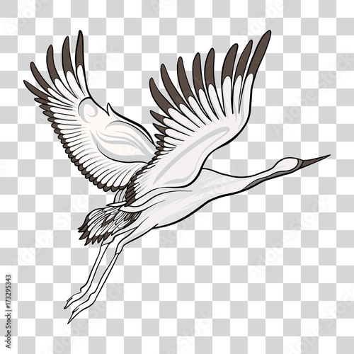 Japanese crane isolated drawing. Stock vector illustration.