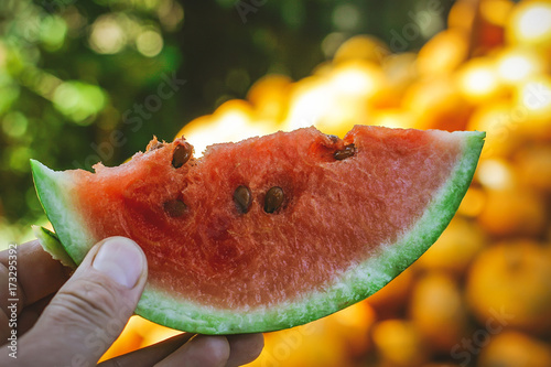 slice of watermelon in hand. on a blurred background photo