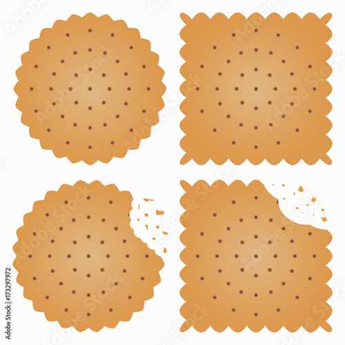 Biscuit, cracker with bite marks and crumbles. Vector illustration.