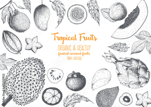 Tropical Fruits top view frame. Farmers market menu design. Healthy food poster. Vintage hand drawn sketch, vector illustration. Linear graphic.