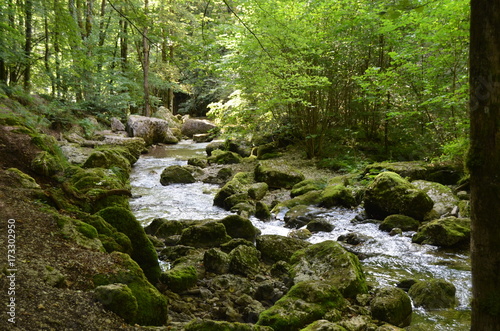 cascade du hérisson