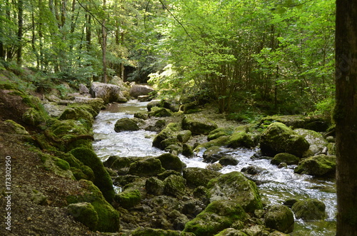 cascade du h  risson