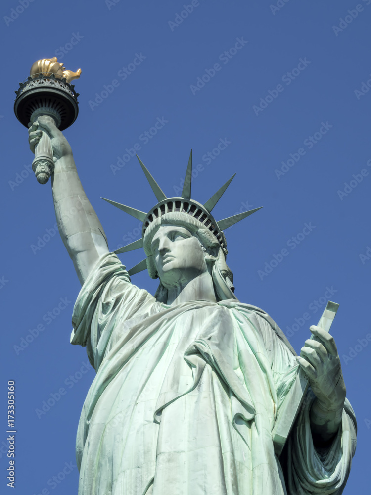 Fototapeta premium Statua Wolności - Liberty Island, New York Harbor, NY, Stany Zjednoczone, USA