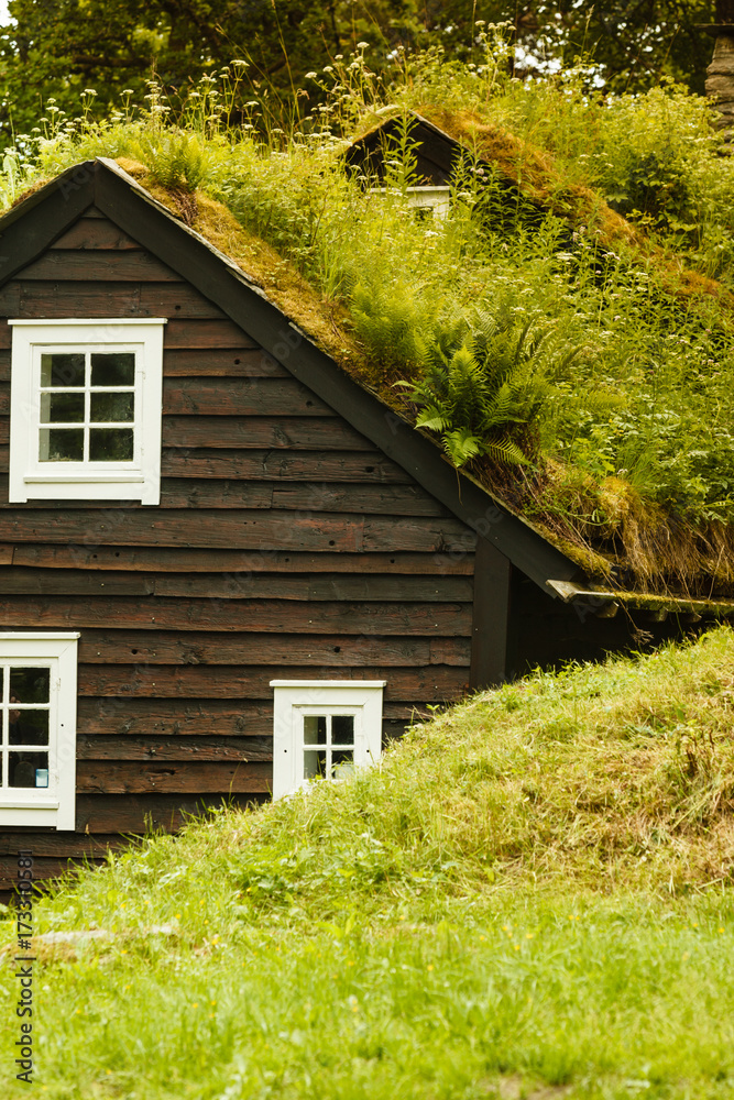 Fototapeta premium House roof covered with moss