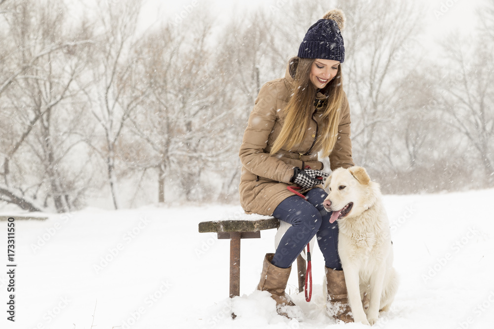 Snowy winter day