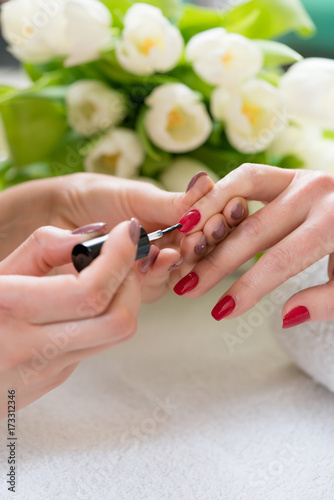 Close-up of the hands of a skilled manicurist applying elegant red nail polish on the medium length nails  of a young woman in a trendy beauty salon