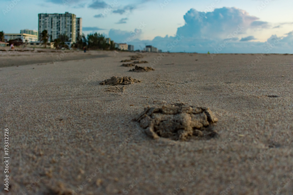 Obraz premium close up of footprints in the sand with buildings and the sky in the background