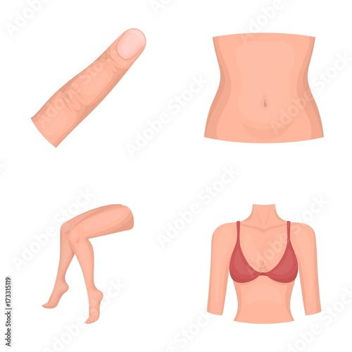 Finger, female feet, female, bust. Part of the body set collection icons in cartoon style vector symbol stock illustration web.