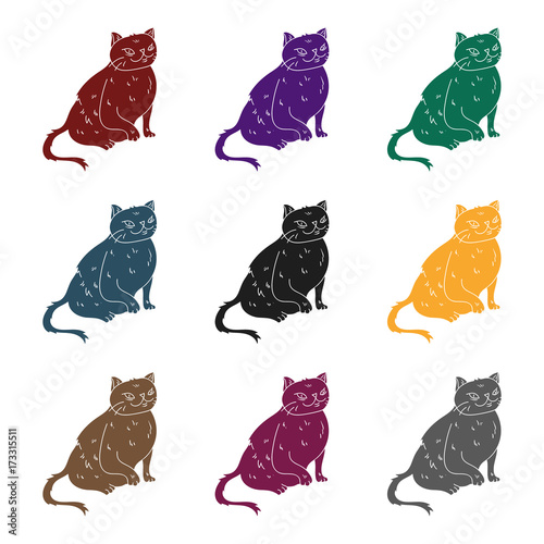 York Chocolate icon in black style isolated on white background. Cat breeds symbol stock vector illustration.