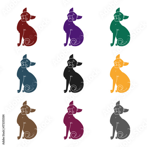Sphynx icon in black style isolated on white background. Cat breeds symbol stock vector illustration.