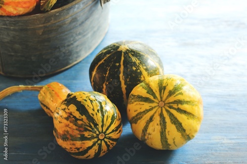 Winter Squashes / Autumn  Fall background photo