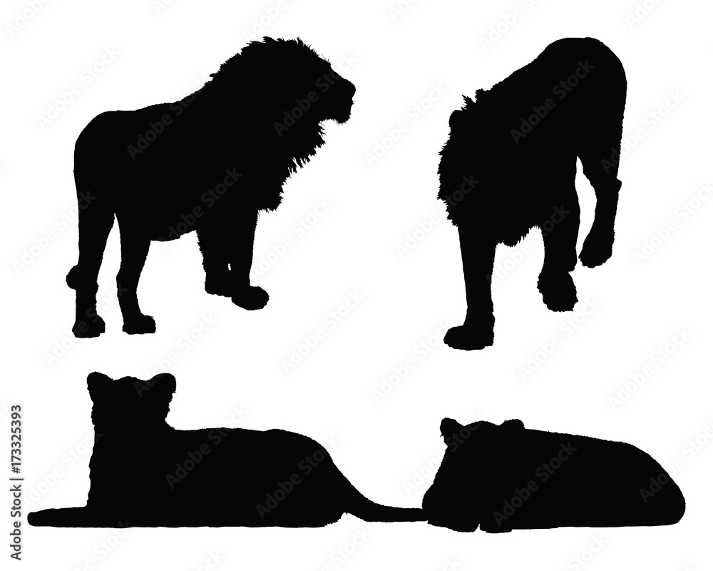 Naklejka premium Vector lion collection in different positions on white background.