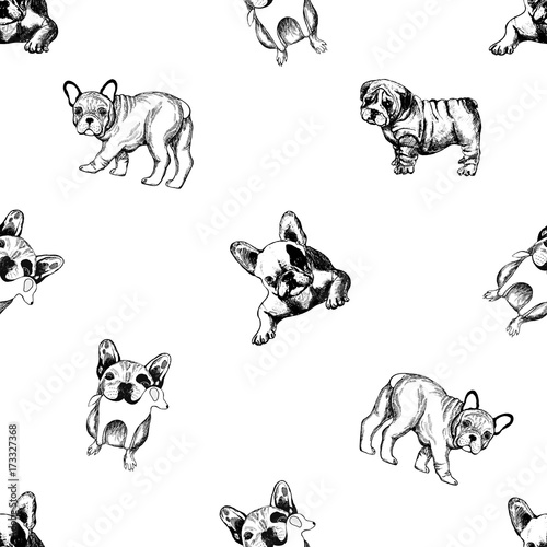 Seamless vector pattern of hand drawn sketch style bulldogs.