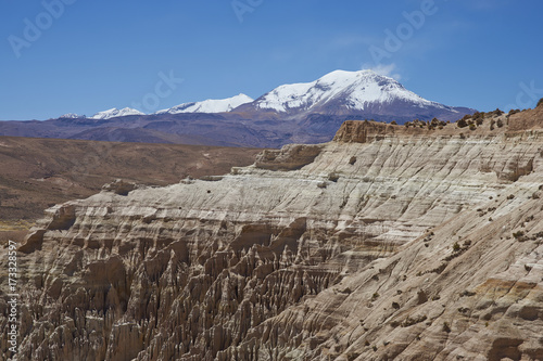 Eroded rock formations along Quebrada Chuba, a river valley high on the Altiplano of northern Chile in Lauca National Park. Snow capped peak of Volcano Guallatiri in the distance. photo