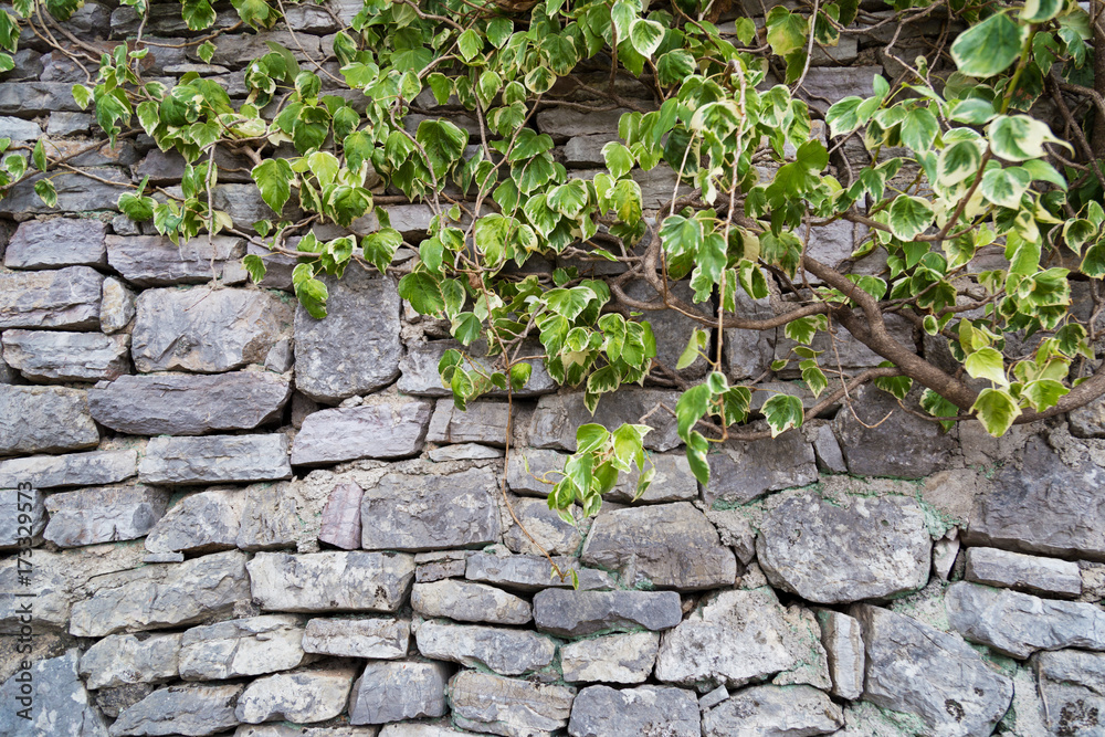 Fragment of old gray stone wall made of different form and siz Fragment of old gray stone wall made of different form and siz