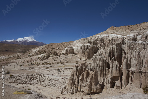 Eroded rock formations along Quebrada Chuba, a river valley high on the Altiplano of northern Chile in Lauca National Park. Snow capped peak of Volcano Guallatiri in the distance. photo