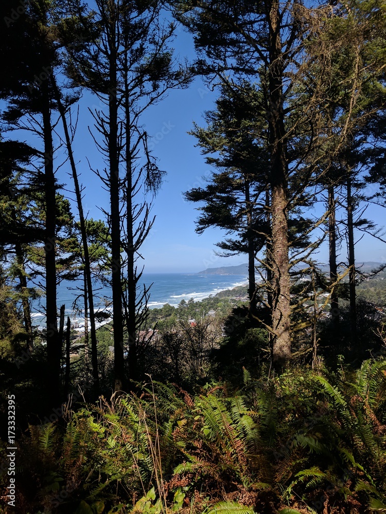Obraz premium Looking down on the Oregon Coast through the Trees
