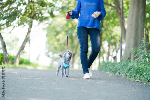 犬の散歩、女性、歩く、走る