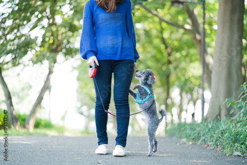 犬の散歩、女性、歩く、走る