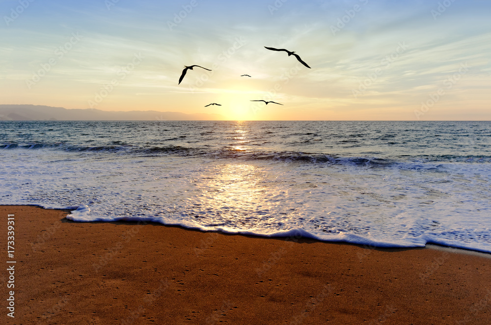Naklejka premium Ocean Sunset Birds
