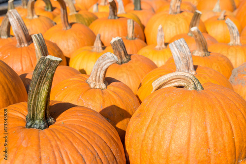 Calabazas