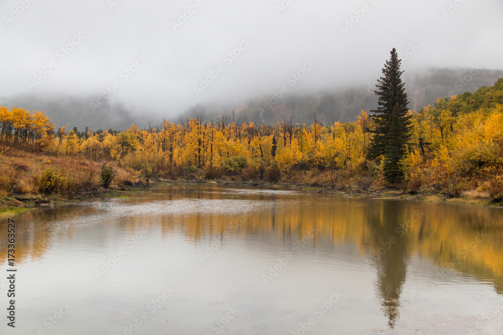 Fir Tree Reflection in Fall Landscape