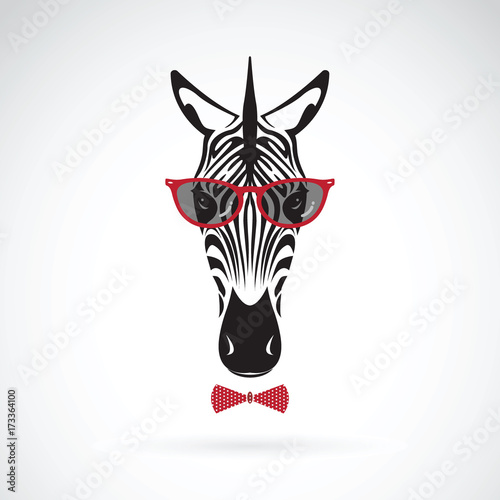 Vector of a zebra wearing sunglasses on white background. Animal fashion.