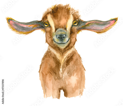Watercolor Goat head