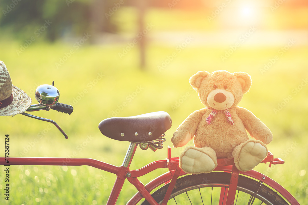 teddy bike