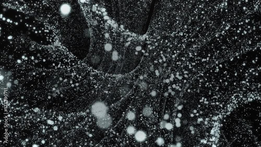 Flowing spiral particle field, swirling in on itself as the camera flies through. Gravity pulls matter in on itself, creating folds in space and time. Check out our portfolio for more!