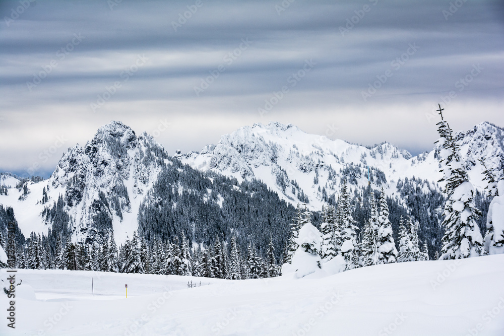 Mt. Rainer National Park Washington Snow