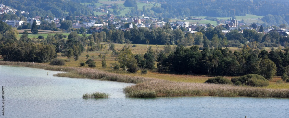 Pfäffikon zürich Pfäffikon zürich