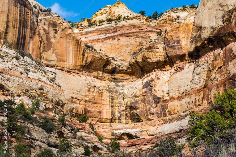 Fototapeta premium Calf Creek Trail Utah Water Fall Rock Landscape