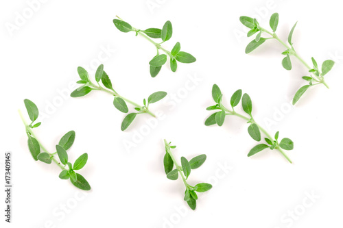 Fresh thyme spice isolated on white background