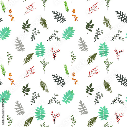 Tropical elements  Agonis  Eucalyptus  Annona  Balata  Zamiokulkas  Cissus. seamless pattern. Vector Illustration.