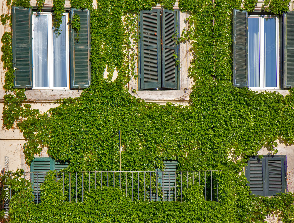Facade of an old building in Rome, covered by ivy.