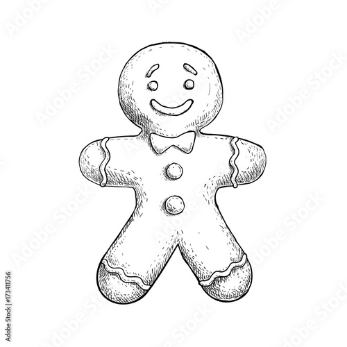 Gingerbread Man Png - Cartoon Gingerbread Man Drawing, Transparent Png - vhv