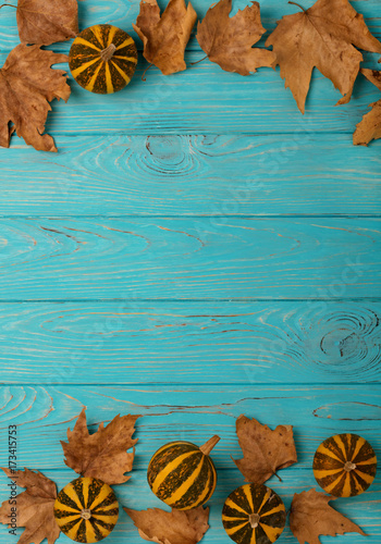 Autumn yellow leaves with little decorative pumpkins on a blue wooden background.