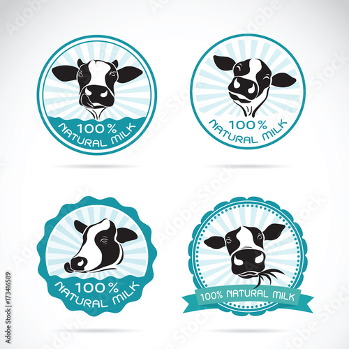 Set of vector a dairy cows label on white background, Animals farm.