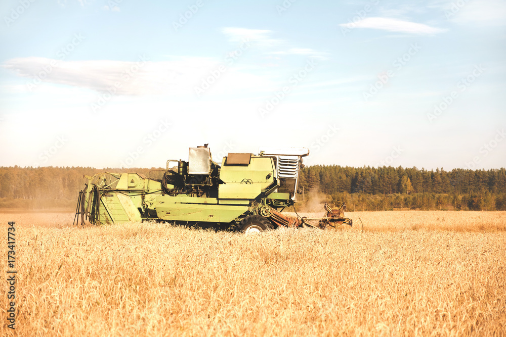 Obraz premium Machinery tractor harvesting golden wheat in the field of farmland on sunny day