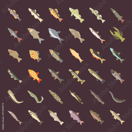 Set Vector Flat Icons of Freshwater Fish