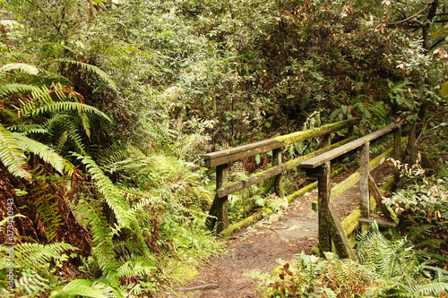 Hidden Bridge