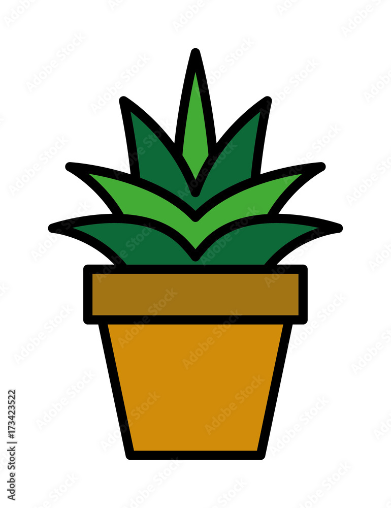 Cactus vector icon Cactus vector icon