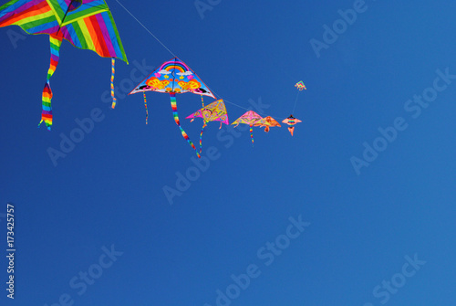 Kites flying on the sky